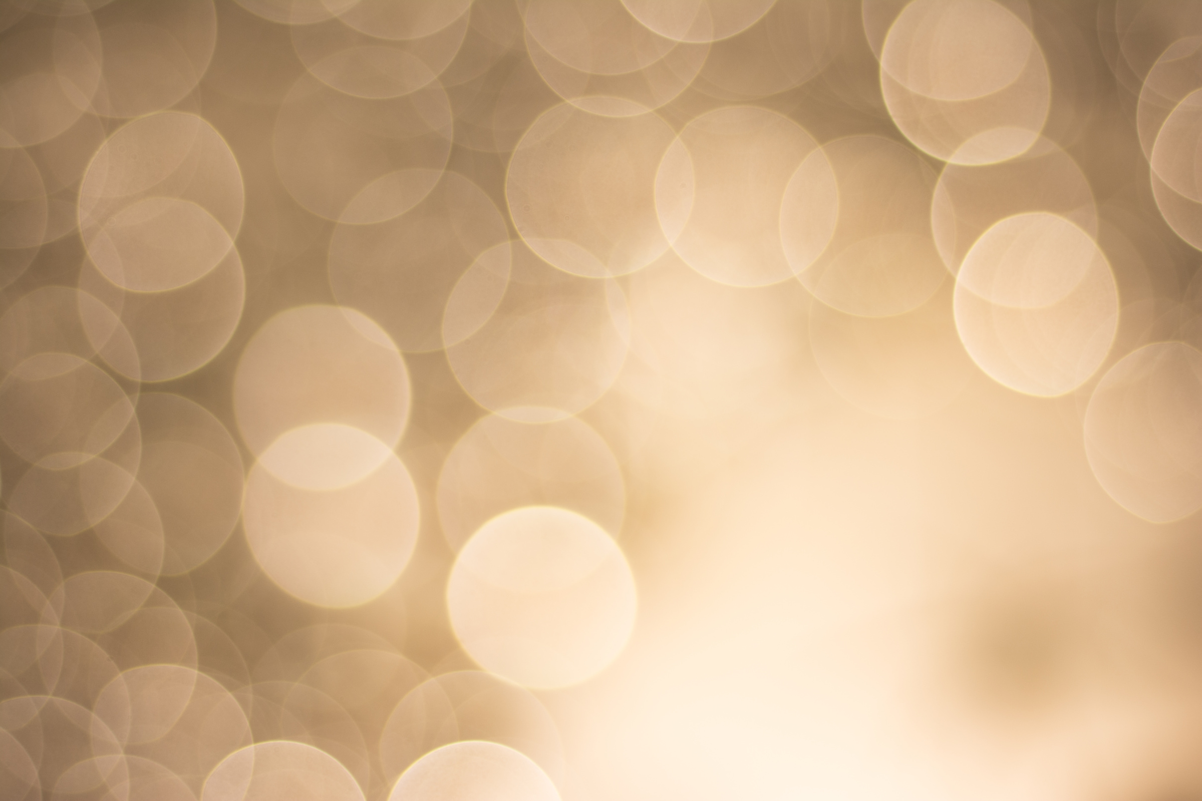 Bokeh